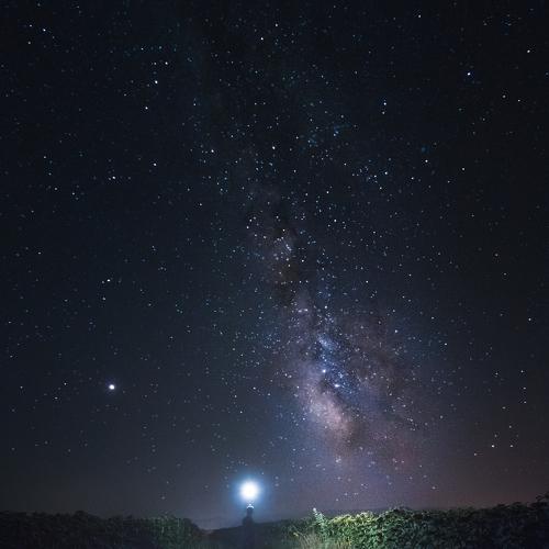 Night Walker