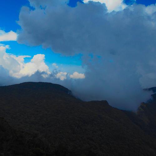 Fog photography