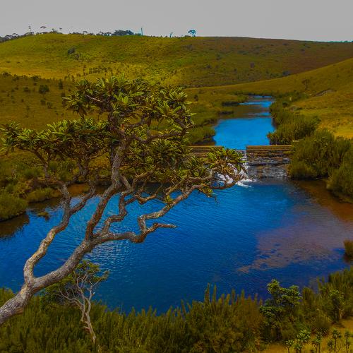 Landscape