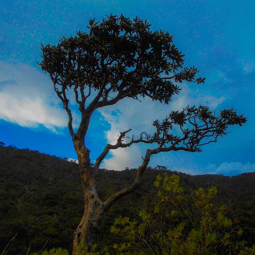 Photo #2506198
