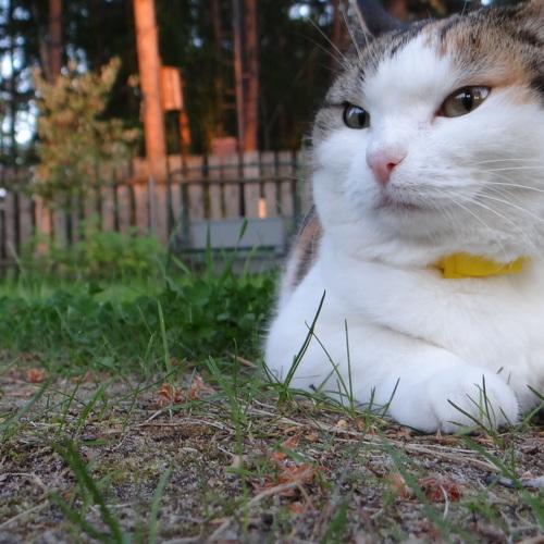 Отдых на природе