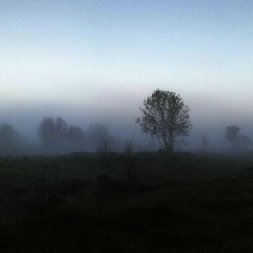 Photo #2507572