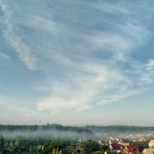 Утро туманное