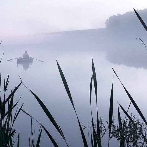 foggy morning
