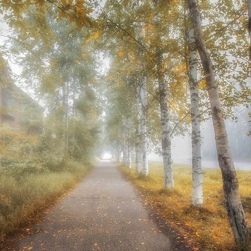 Вот и осень