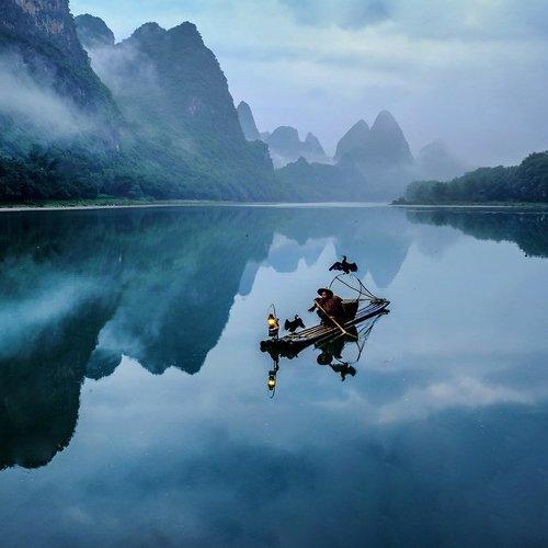 Cormorant fishing in the dream landscape