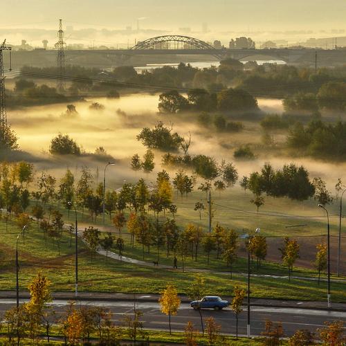 Пригород в тумане