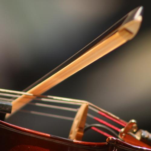 Violin