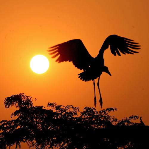 In front of the Sun