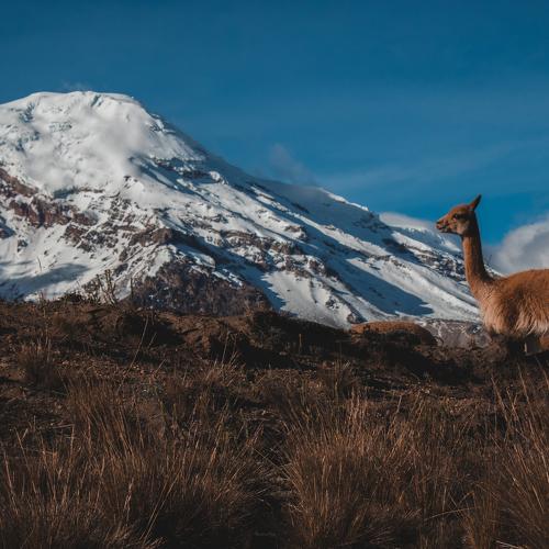 Chimborazo