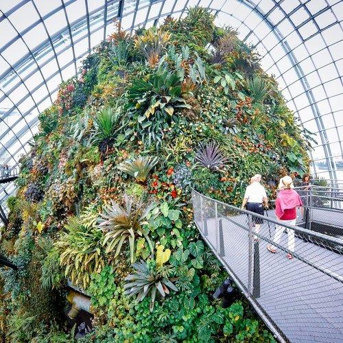 Strolling at Cloud Forest Dome