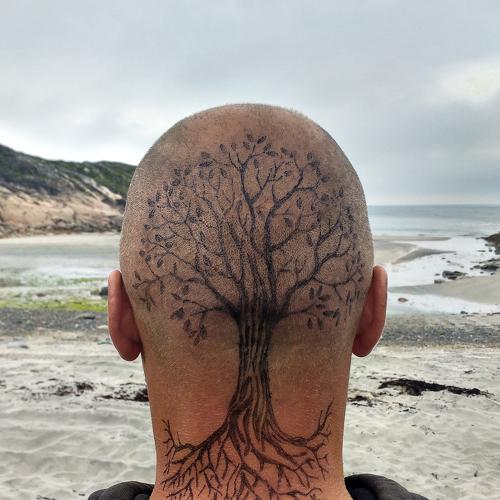 Photo #2512727