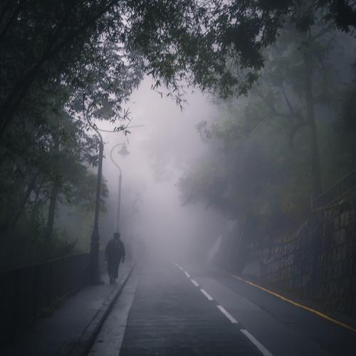 Vicktoria pick, Hongkong