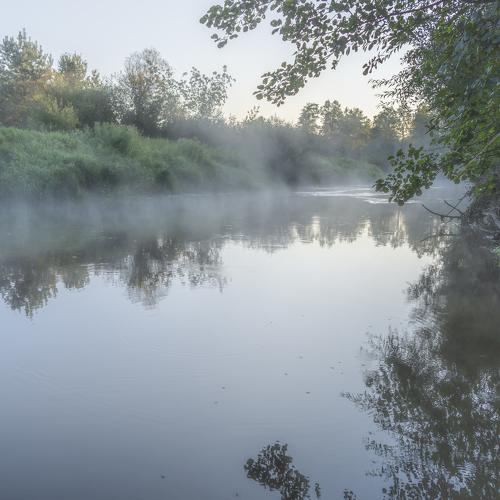 Ptich river