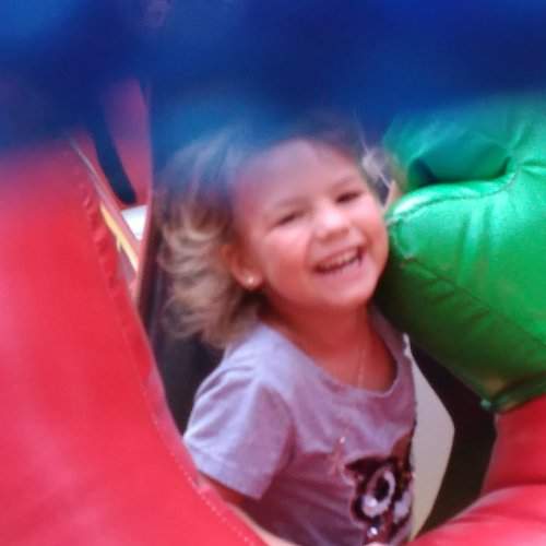 Photo #2515797