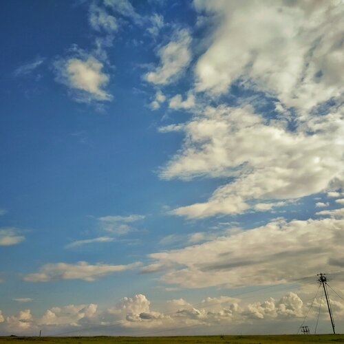 Man and a landscape
