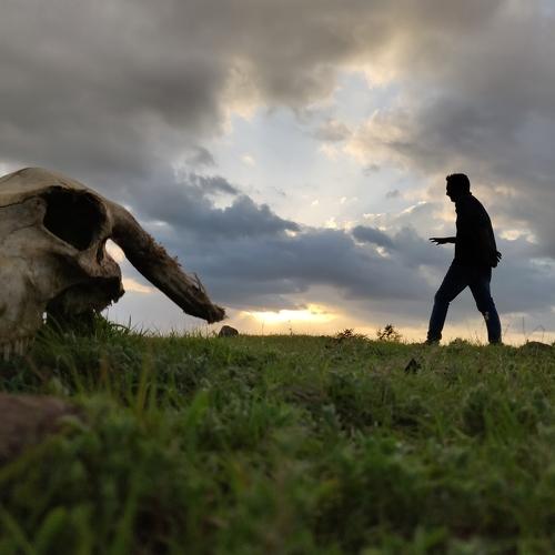 Man and a landscape