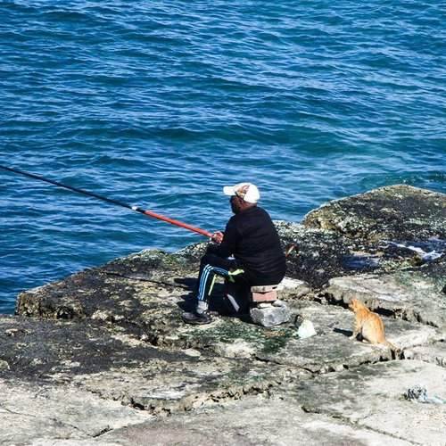 waiting for the catch