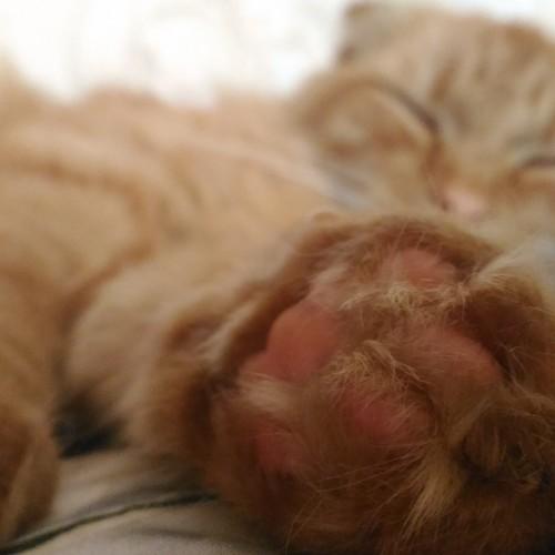 Photo #2519371