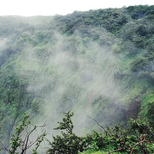 Fog