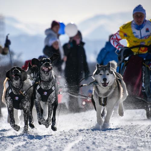 Вперёд к победе!