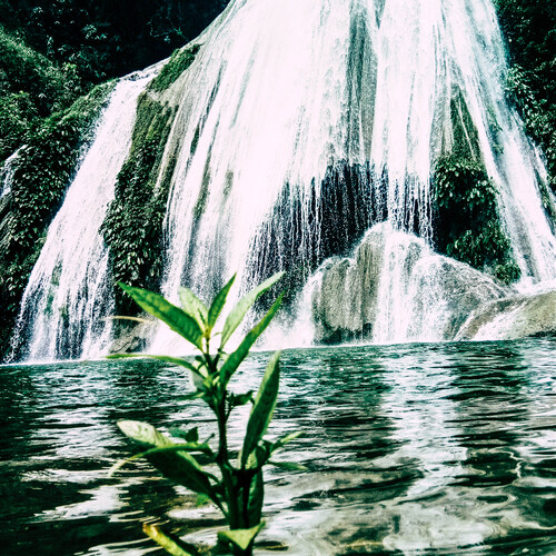 Connecting with Nature