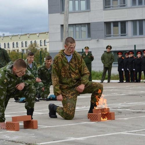 вдв сила