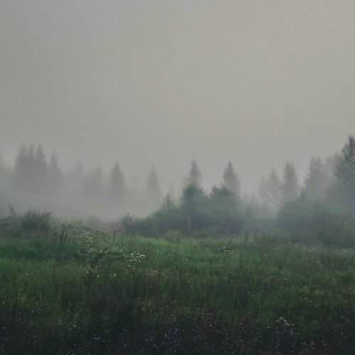 Утро