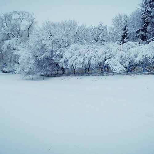 Photo #2522349