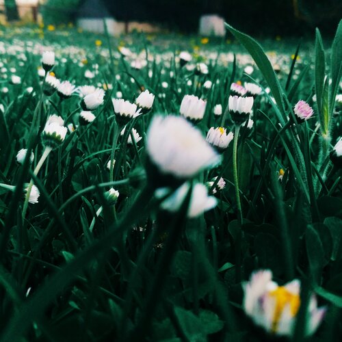 Photo #2522351