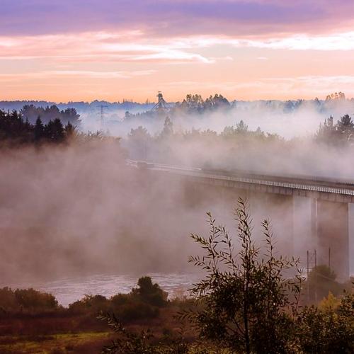 Fog