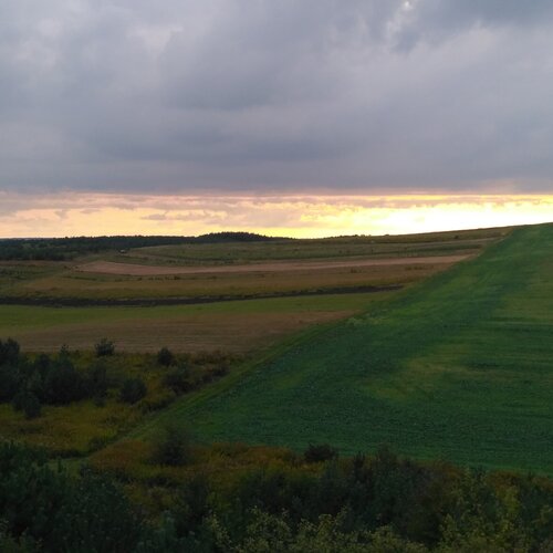 Photo #2522983