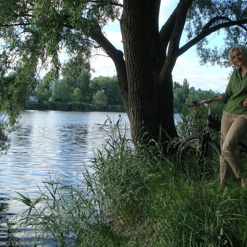 Photo #2523069