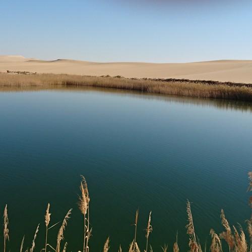 The cold Lake