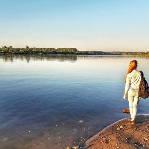 Photo #2524499