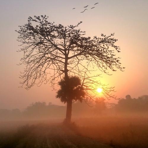 Sunrise in winter morning