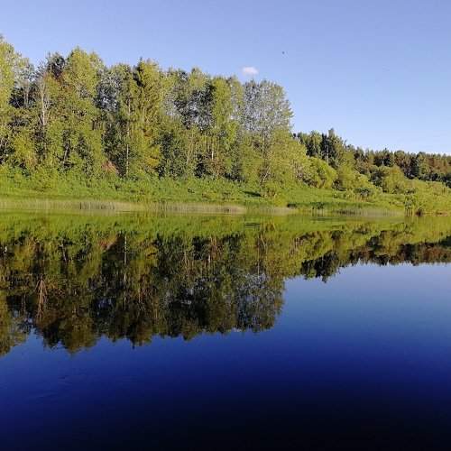 Безмолвие