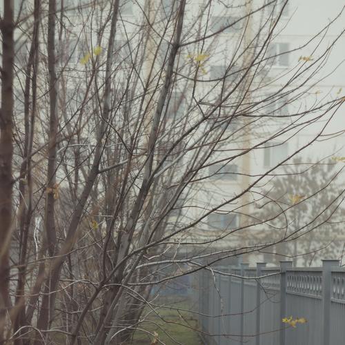 Photo #2525703