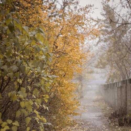 Photo #2525704