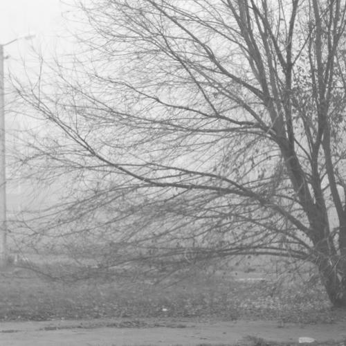 Photo #2525706