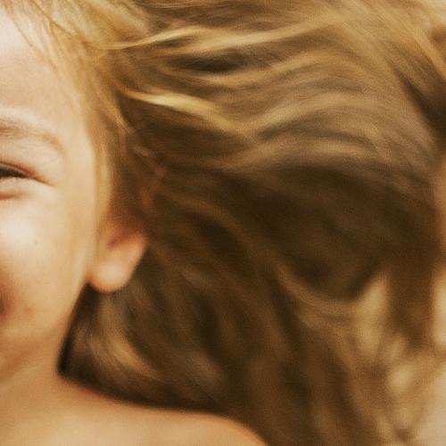 Photo #2525729