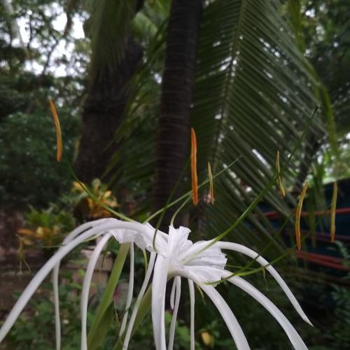 Good morning click