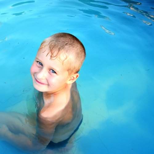 Photo #2526129