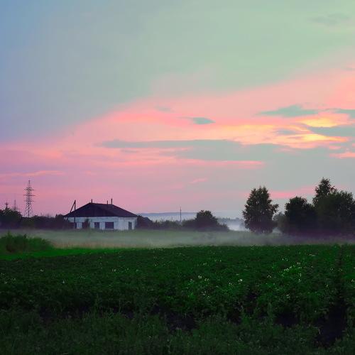 Photo #2526641