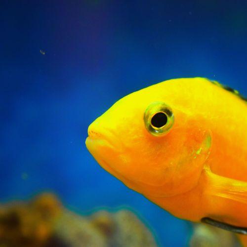 Photo #2526825
