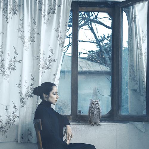 Silence