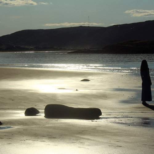 Photo #2527574