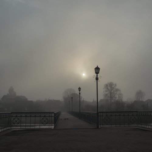 Photo #2528292
