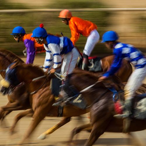 horse racing