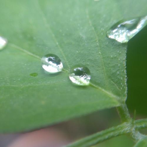 Photo #2528338